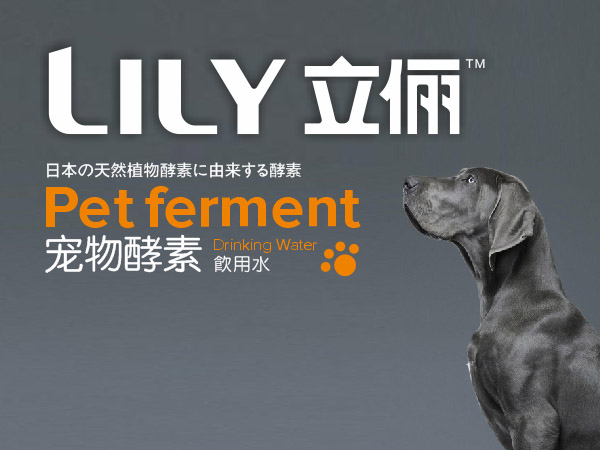 ��������������ˮ